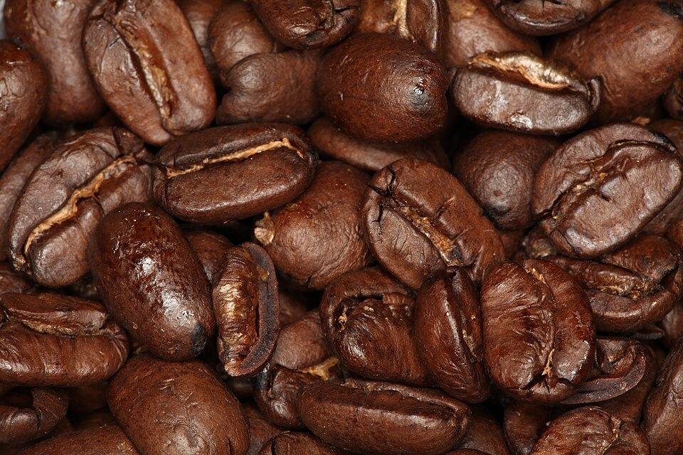 A close-up of glossy, dark-roasted coffee beans